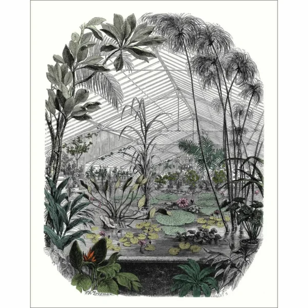 Jardin D'hiver Wallpanel - Multicouleurs by black-grey botanical wallpaper from caselio