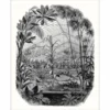 black-grey botanical wallpaper from caselio