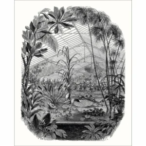 black-grey botanical wallpaper from caselio