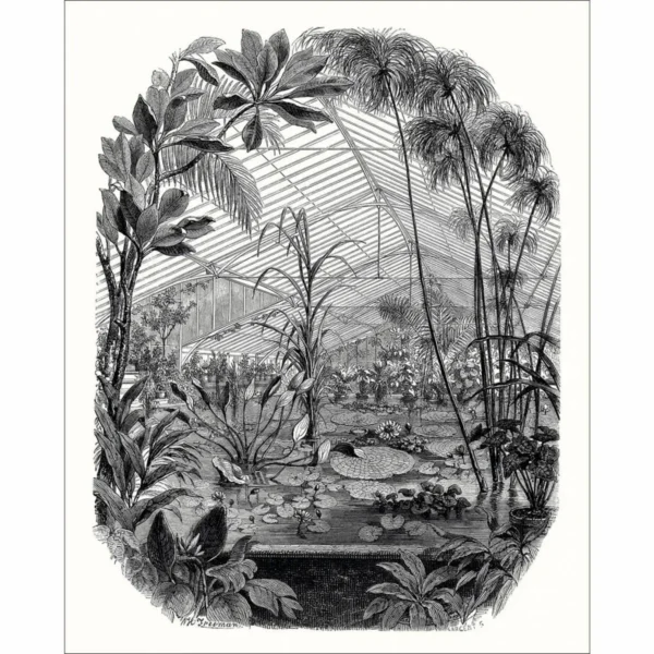 Jardin D'hiver Wallpanel - Noir Et Blanc by black-grey botanical wallpaper from caselio