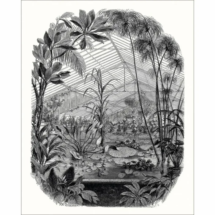 Jardin D'hiver Wallpanel - Noir Et Blanc swatch