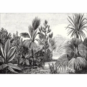 black-grey botanical wallpaper from caselio