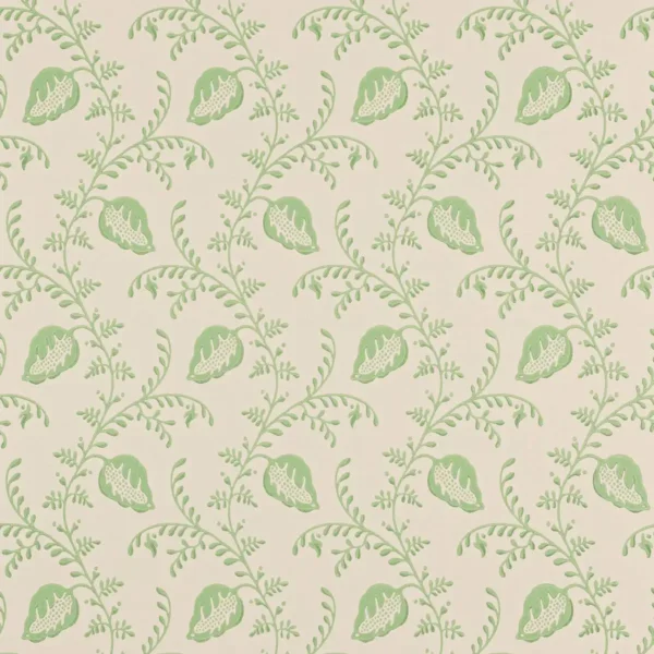 Felicity Wallpaper - Green by green botanical wallpaper from colefax & fowler