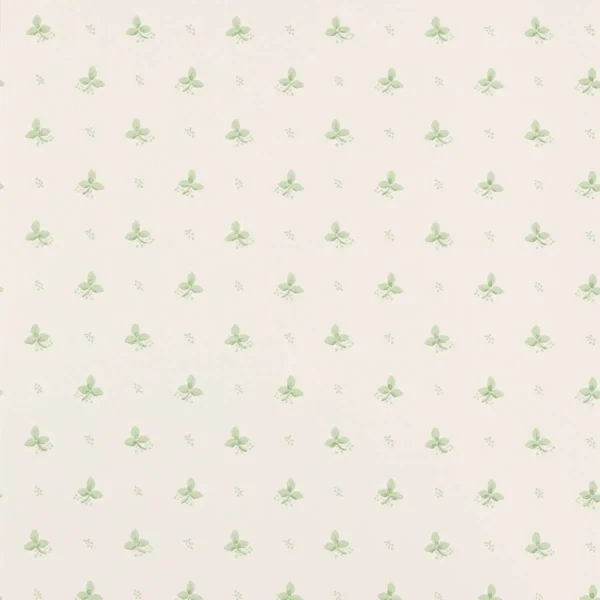 Ashling Wallpaper - Green by green botanical wallpaper from colefax & fowler