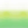green misc wallpaper from designers guild