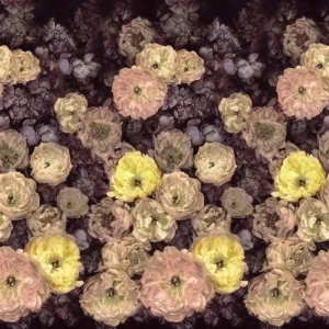 black-grey botanical wallpaper from designers guild