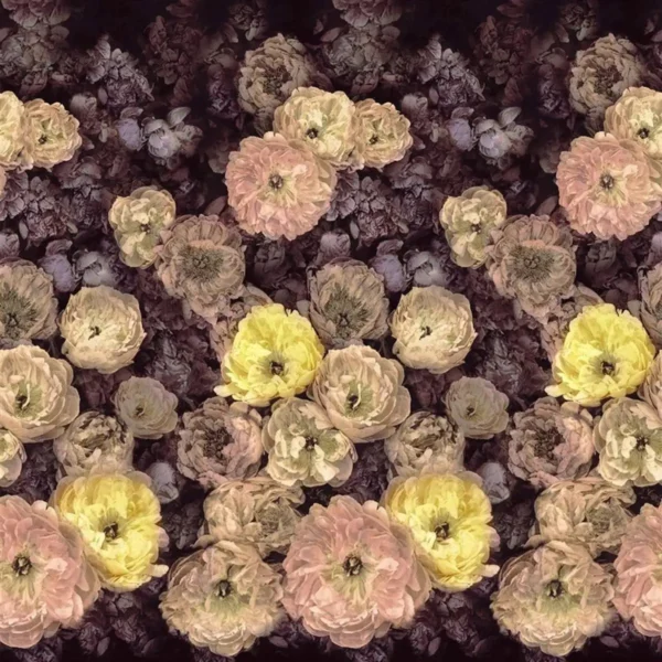 Le Poeme de Fleurs Wallpaper - Rosewood by black-grey botanical wallpaper from designers guild