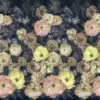multicolour botanical wallpaper from designers guild