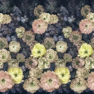 multicolour botanical wallpaper from designers guild