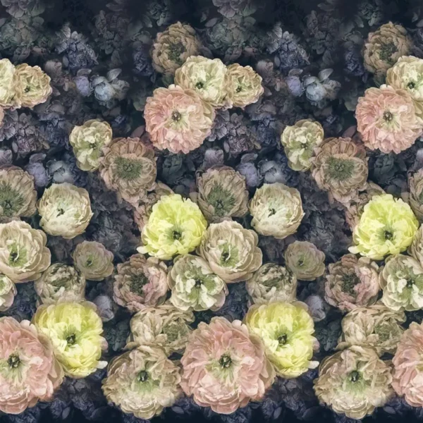 Le Poeme de Fleurs Wallpaper - Midnight by multicolour botanical wallpaper from designers guild