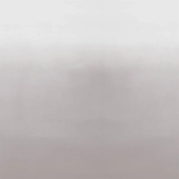 Saraille Wallpaper - Birch by black-grey misc wallpaper from designers guild
