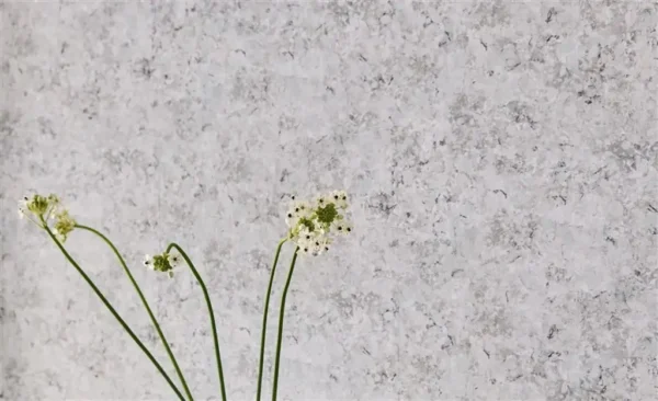 Ernani Wallpaper - Charcoal from