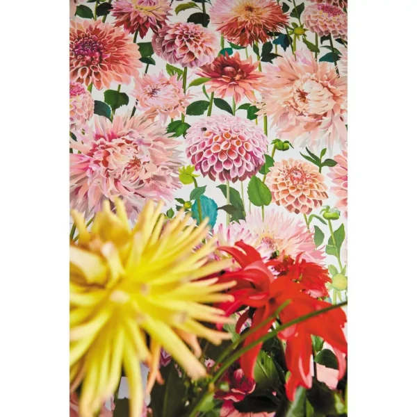 Sanguine Wallpaper - Pomegranate / Clemantine / Peony / Blueberry by Sanguine Wallpaper - Pomegranate / Clemantine / Peony / Blueberry from