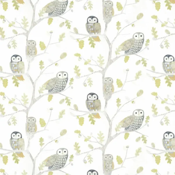Little Owls Wallpaper - Kiwi by Little Owls Wallpaper - Kiwi from