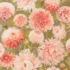 pink botanical wallpaper from harlequin