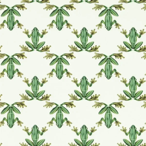 Wood Frog Wallpaper - Forest / Chalk from