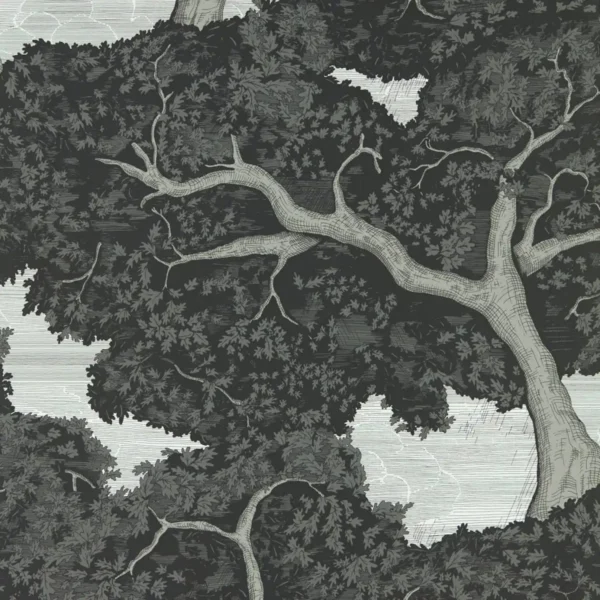 Eternal Oak Wallpaper - Ebony / First Light from