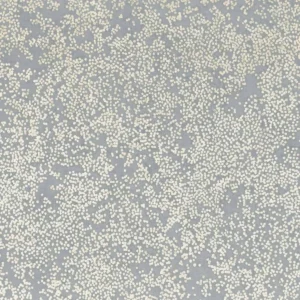 black-grey misc wallpaper from romo
