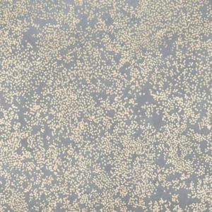 black-grey misc wallpaper from romo