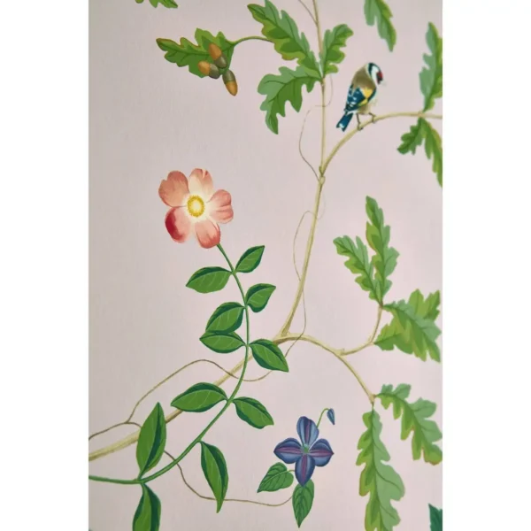 Rubus Wallpaper - Blackberry by Rubus Wallpaper - Blackberry from