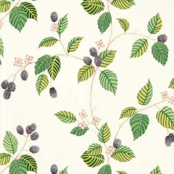 Rubus Wallpaper - Blackberry by green botanical wallpaper from sanderson