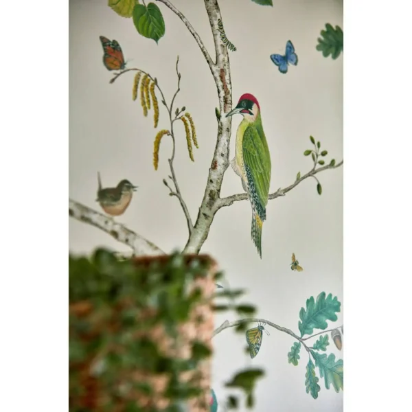 Rubus Wallpaper - Raspberry by Rubus Wallpaper - Raspberry from