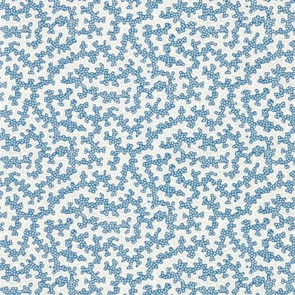 Truffle Wallpaper - Indigo by blue botanical wallpaper from sanderson