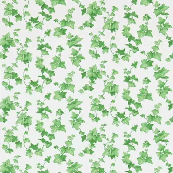 Hedera Wallpaper - Green by green botanical wallpaper from sanderson
