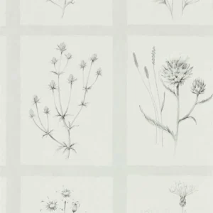 black-grey botanical wallpaper from sanderson
