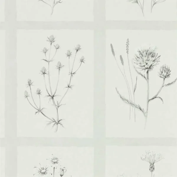 Little Thistles Wallpaper - Pewter by black-grey botanical wallpaper from sanderson