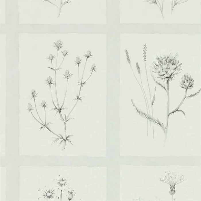 Little Thistles Wallpaper - Pewter fabric swatch DEBB216512