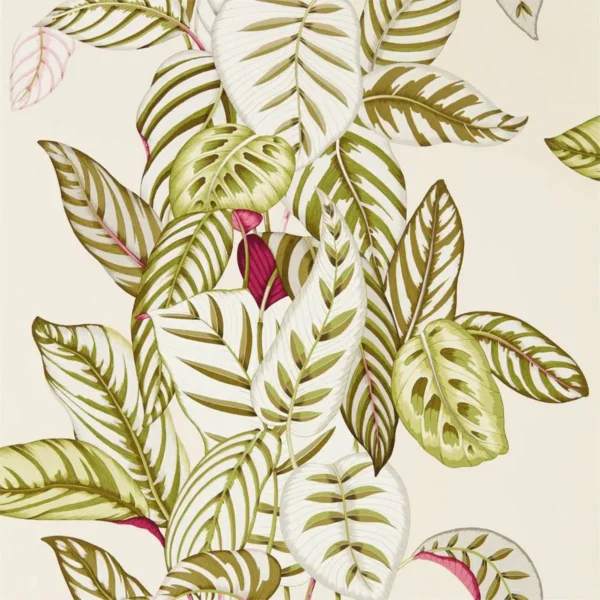 Calathea Wallpaper - Olive by green botanical wallpaper from sanderson