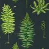 green botanical wallpaper from sanderson