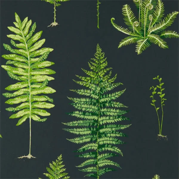 Fernery Wallpaper - Botanical Green / Charcoal by green botanical wallpaper from sanderson