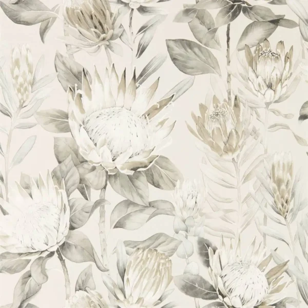 King Protea Wallpaper - Linen / Mica by black-grey botanical wallpaper from sanderson