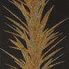black-grey botanical wallpaper from sanderson