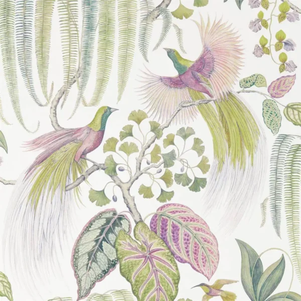 Bird of Paradise Wallpaper - Orchid by multicolour botanical wallpaper from sanderson