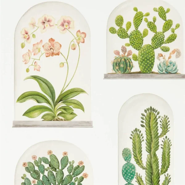Terrariums Wallpaper - Chalk / Green by green botanical wallpaper from sanderson