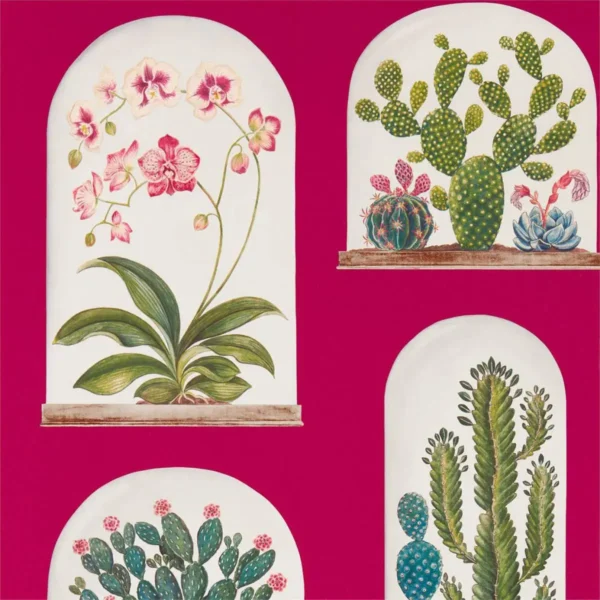 Terrariums Wallpaper - Rhodera / Multi by multicolour botanical wallpaper from sanderson