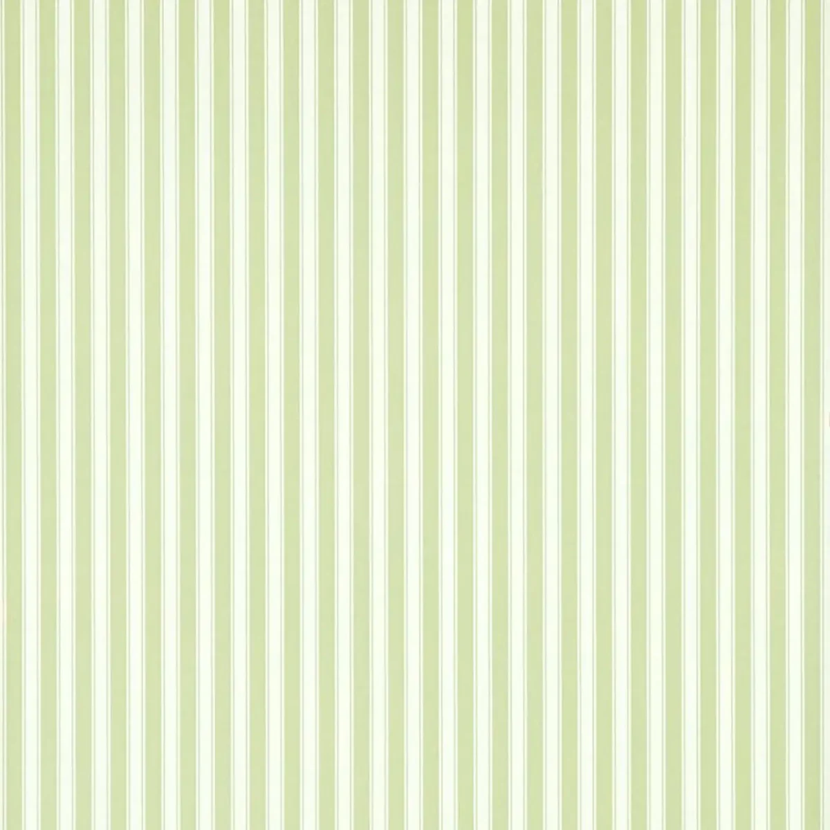New Tiger Stripe Wallpaper - Leaf Green / Ivory by green striped wallpaper from sanderson