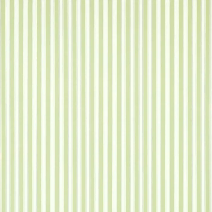 New Tiger Stripe Wallpaper - Leaf Green / Ivory swatch