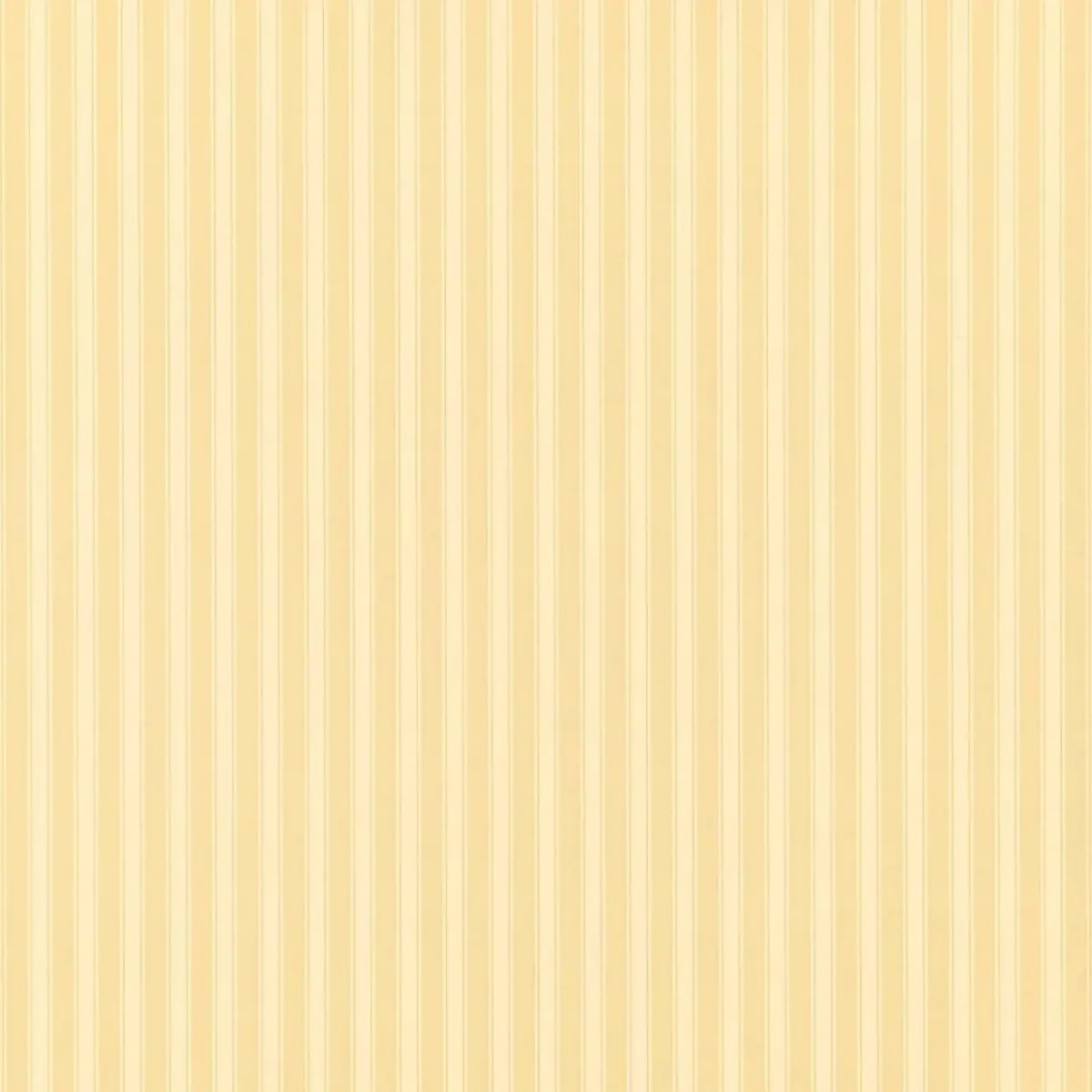 New Tiger Stripe Wallpaper - Honey / Cream by white striped wallpaper from sanderson