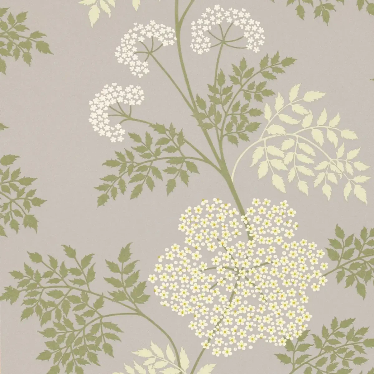 Cowparsley Wallpaper - Amethyst by blue botanical wallpaper from sanderson