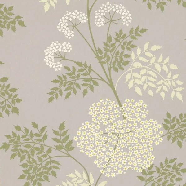 Cowparsley Wallpaper - Amethyst by blue botanical wallpaper from sanderson