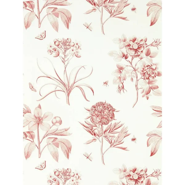 Etchings & Roses Wallpaper - Amanpuri Red by green botanical wallpaper from sanderson