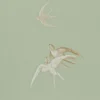 green animal wallpaper from sanderson