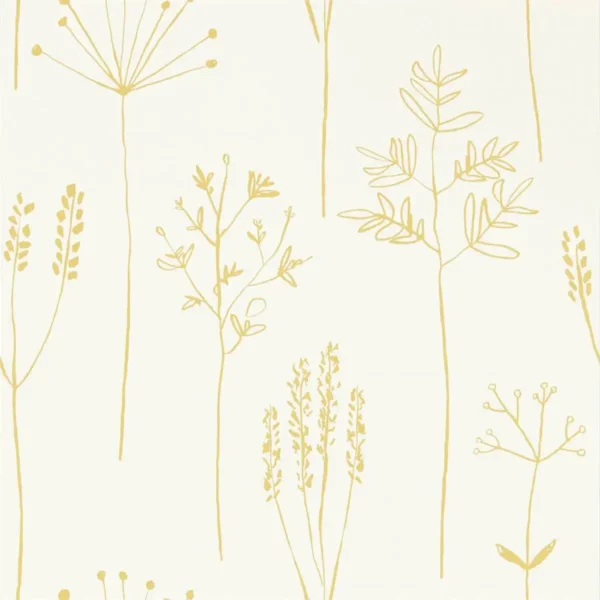 Stipa Wallpaper - Honey by yellow botanical wallpaper from scion