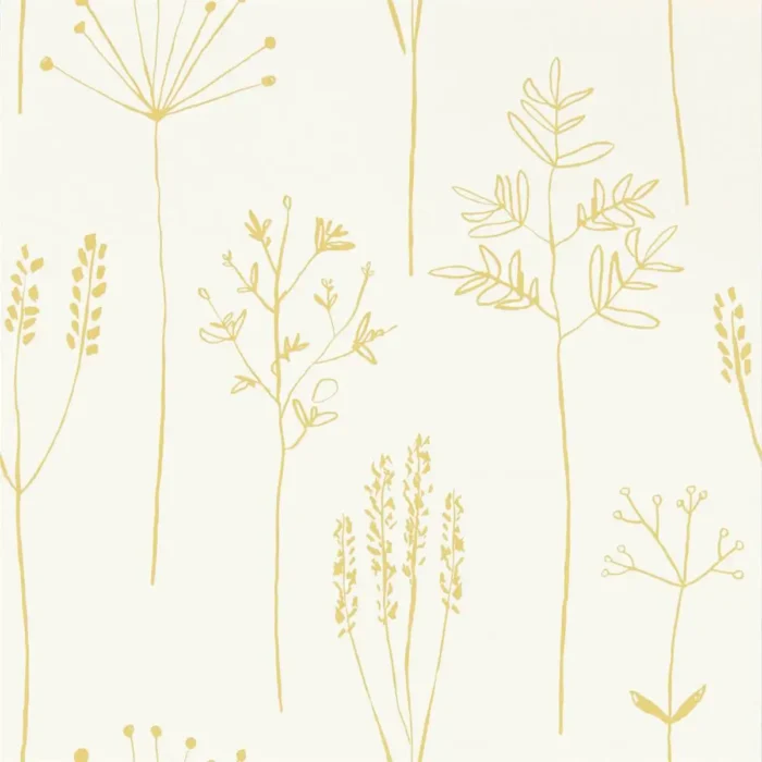 Stipa Wallpaper - Honey swatch