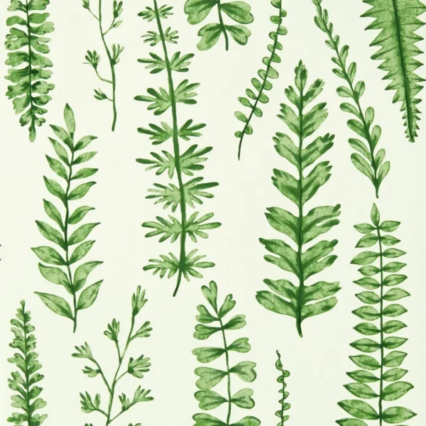 Ferns Wallpaper - Juniper by green botanical wallpaper from scion