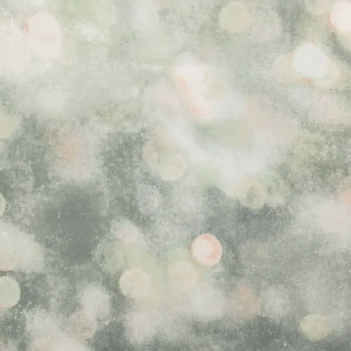 Bokeh Wallpaper - Tuscan fabric swatch W613/03